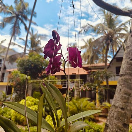 Pv Cottages - Serenity Beach ปอนดิเชอรี ภายนอก รูปภาพ